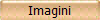 Imagini